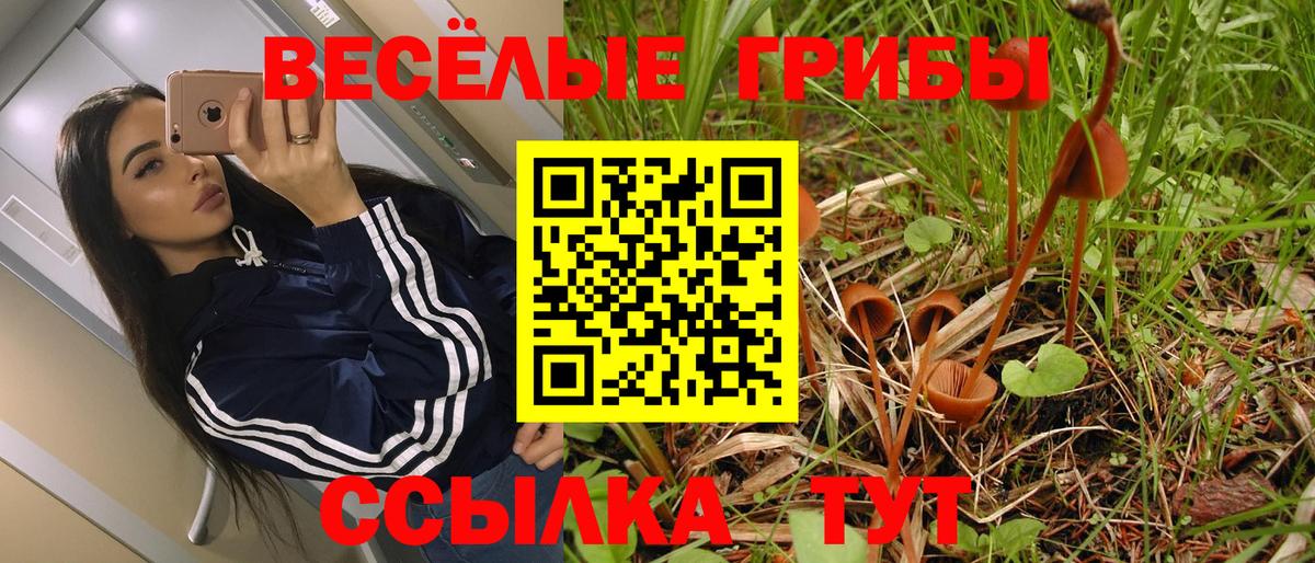 Галлюциногенные грибы Magic Shrooms  Галлюциногенные грибы ЛСД  Солнечногорск  Вход с VPN 