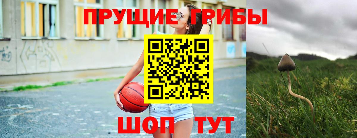 Псилоцибиновые грибы прущие грибы Солнечногорск
